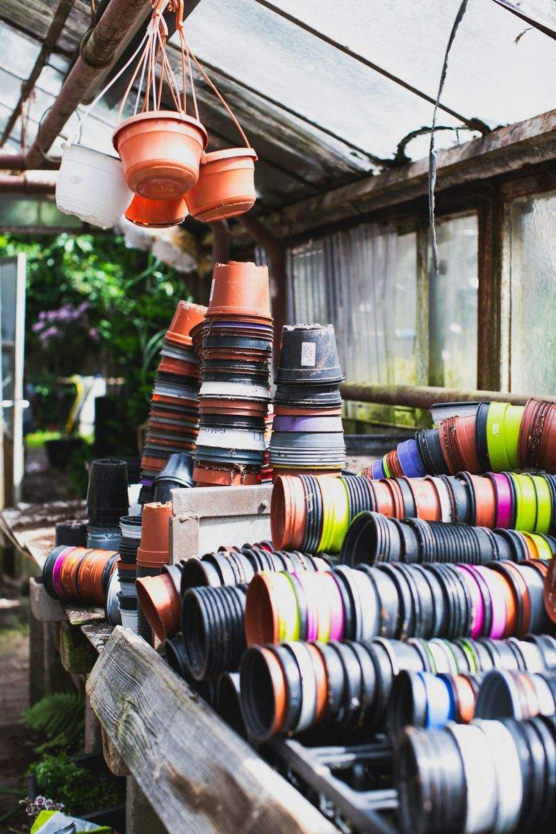 Préparer son jardin pour le printemps : les gestes essentiels