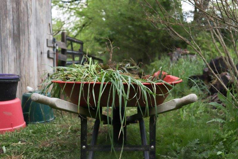 Créer un massif fleuri durable et facile à entretenir