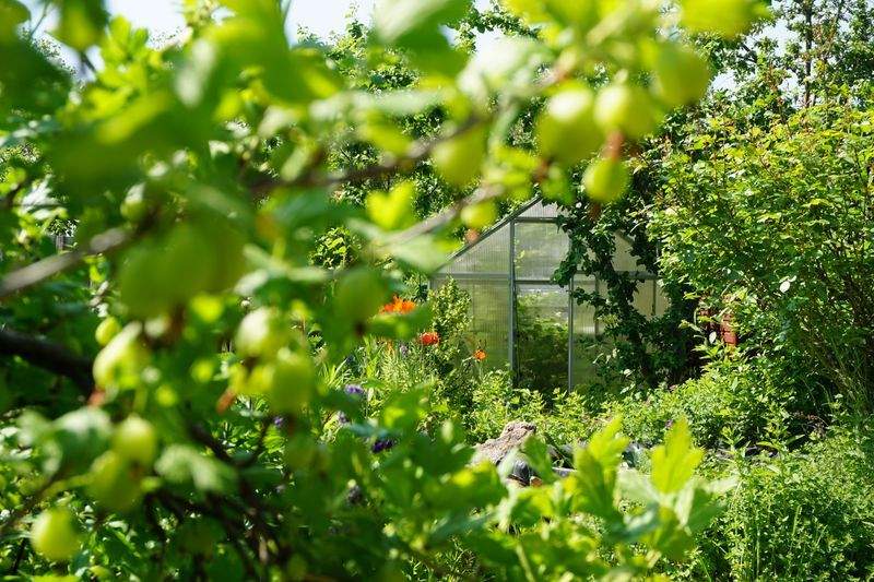 Jardins Harmonie Verte 15